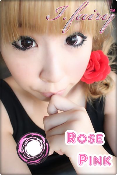 Ifairy Rose Pink Rosa